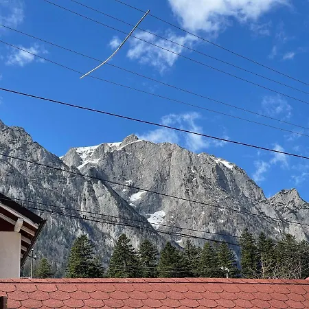 Casa Iancu Busteni